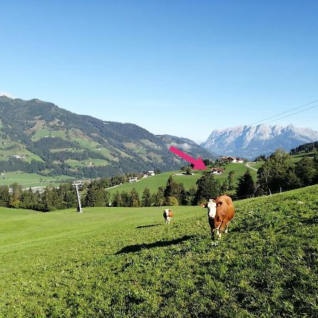 Landhaus Voetter Sankt Johann im Pongau Buitenkant foto